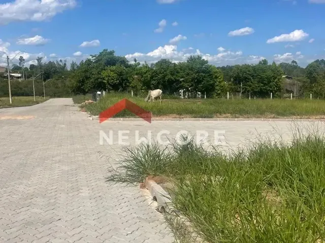 Imagem: Lote em Rua Afonso Corrêa da Silva - Fazenda