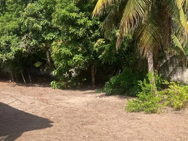 Imagem 2: Casa Alugar por Temporada Carnaval Coruripe