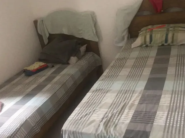 Imagem 11: Apartamento no Gran Patio 2 para Venda Tem 48 M² com 2 Quartos em Cidade Universitária