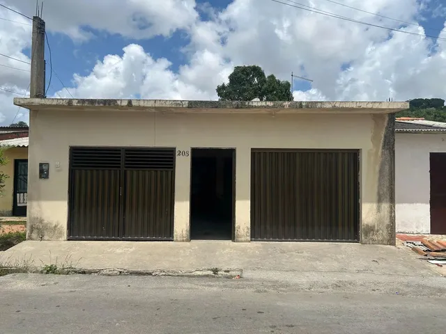 Imagem: Cana em Fernão Velho