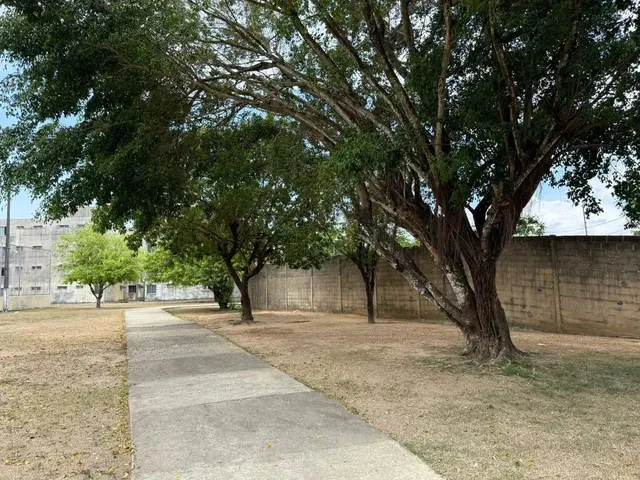 Imagem 16: Apartamento 2 Quartos com Piscina no Benedito Bentes