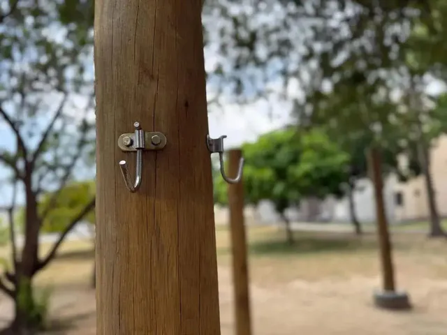 Imagem 12: Apartamento 2 Quartos com Piscina no Benedito Bentes