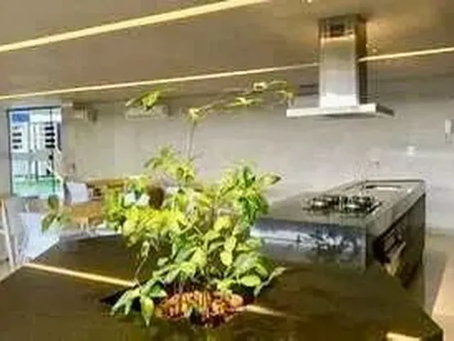 Imagem 15: Vendo Apartamento de Alto-Padrão, Entre o Corredor Vera Arruda e a Praça da Mulher