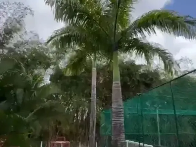 Imagem 2: Casa Condomínio Monte Belo Três Suites