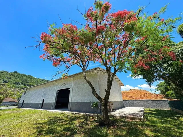 Imagem: Galpão em Velha - Blumenau