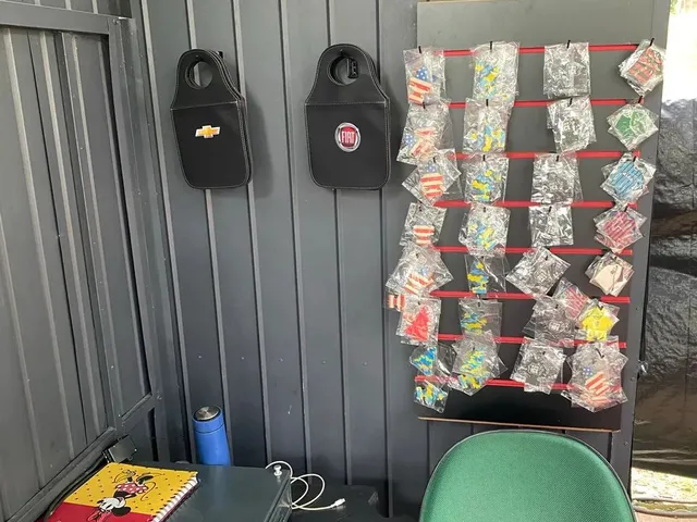 Imagem 11: Passo Ponto de Estética Automotiva