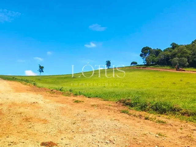Imagem 11: 86A- Lotes Planos na Cidade do Morango!
