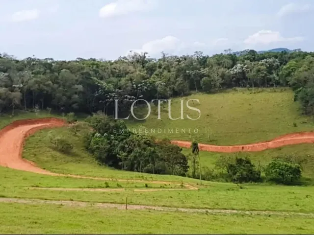 Imagem 4: 86A- Lotes Planos na Cidade do Morango!