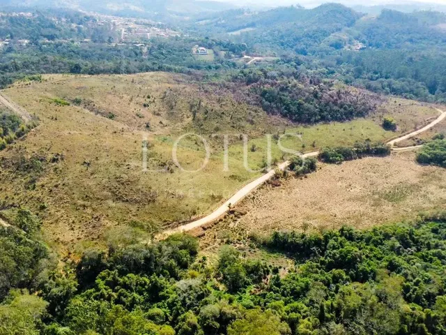 Imagem 10: 86A- Lotes Planos na Cidade do Morango!