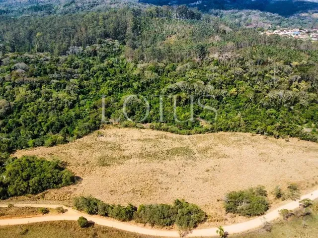 Imagem 2: 86A- Lotes Planos na Cidade do Morango!