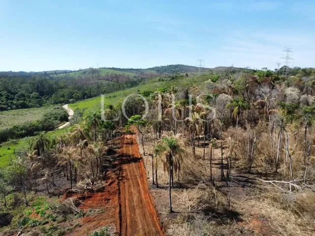 Imagem 9: 86A- Lotes Planos na Cidade do Morango!