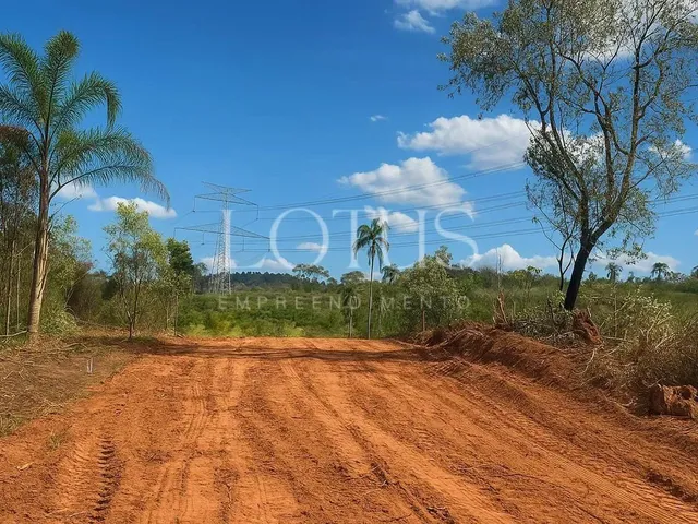 Imagem 8: 86A- Lotes Planos na Cidade do Morango!