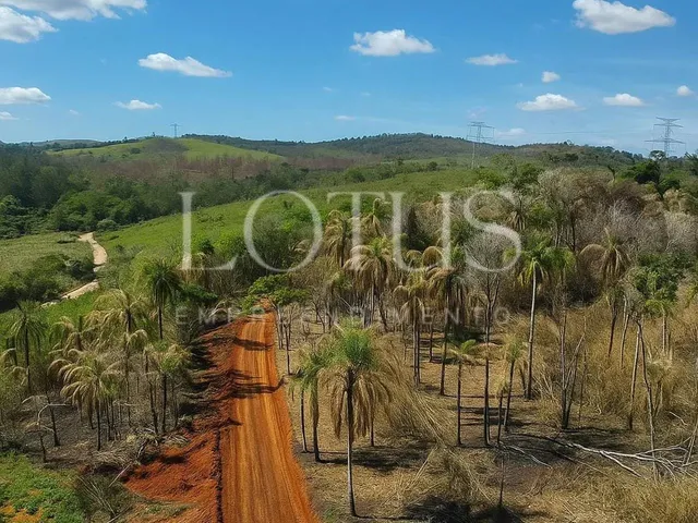 Imagem 13: 86A- Lotes Planos na Cidade do Morango!