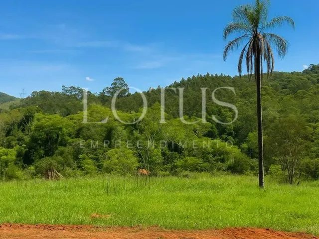 Imagem 3: 86A- Lotes Planos na Cidade do Morango!