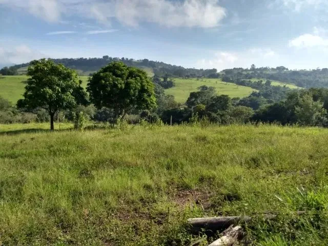 Imagem: Vendo Lindo Sítio de 20.000M² em Corumbataí/Sp