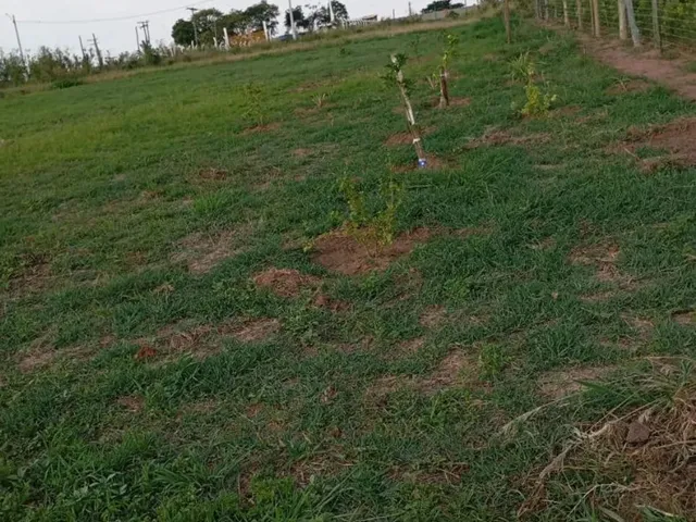Imagem: Terreno de Chácara Nós Pires de Cima Limeira