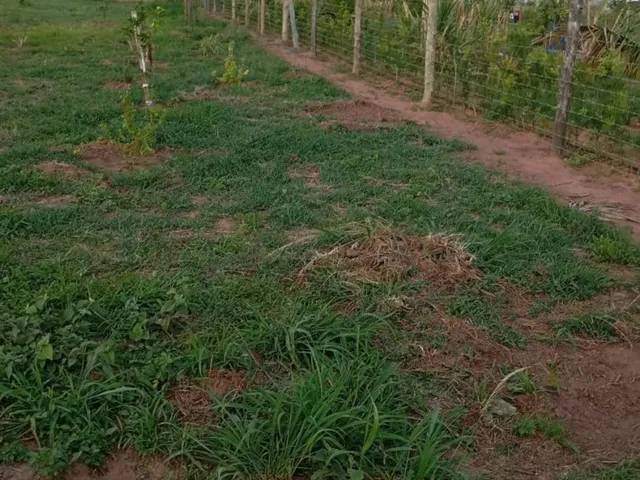 Imagem 2: Terreno de Chácara Nós Pires de Cima Limeira _Sp
