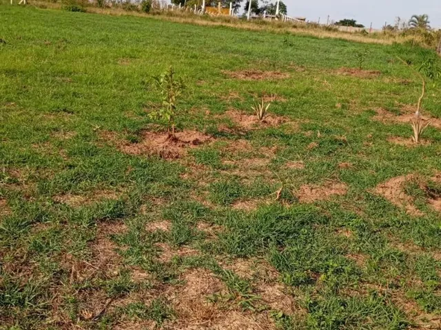 Imagem 3: Terreno de Chácara Nós Pires de Cima Limeira _Sp