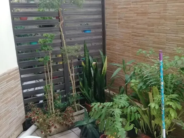 Imagem 4: Sobrado Triplex a Uma Quadra da Praia de Canasvieiras - Florianópolis