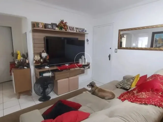 Imagem: Apartamento 1 Quarto 53M² - Coloninha