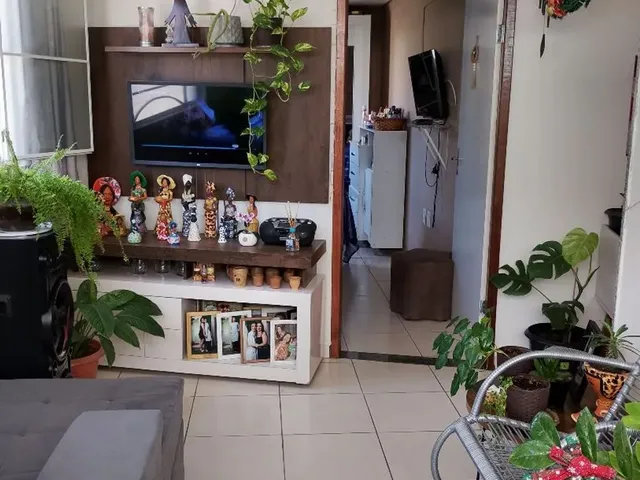Imagem 14: Vendo Casa Toda na Laje