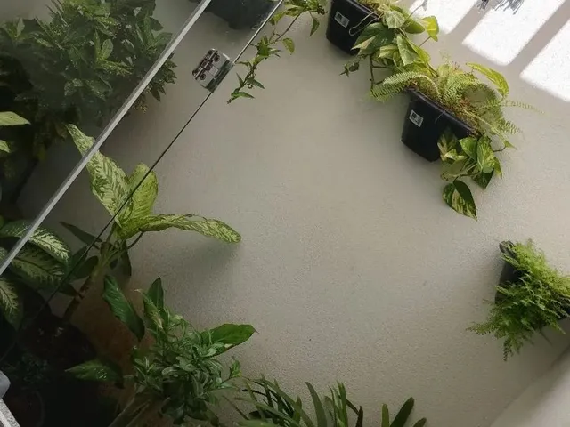 Imagem 2: Vendo Casa Toda na Laje