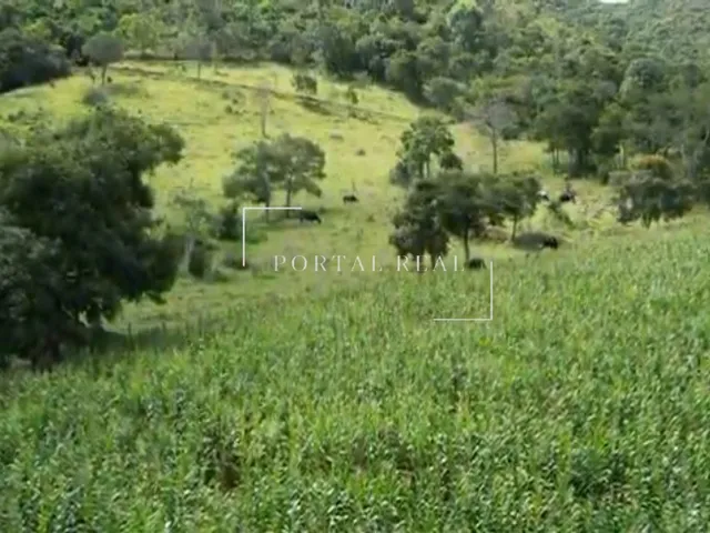 Imagem 11: SITIO RURAL em GUAPÉ - MG, Volta Grande