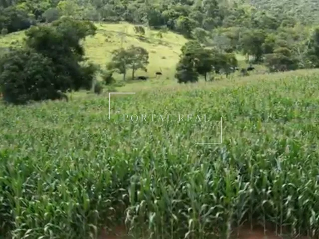 Imagem 5: SITIO RURAL em GUAPÉ - MG, Volta Grande