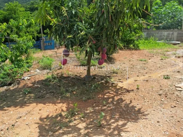 Imagem 9: SITIO RURAL em GUAPÉ - MG, Volta Grande