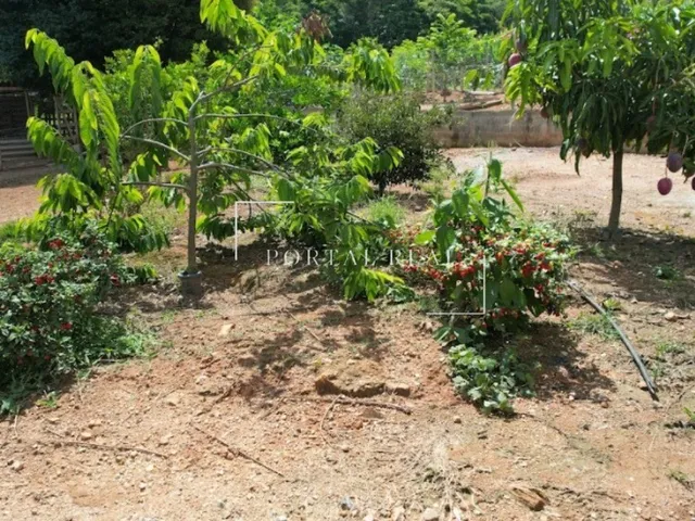 Imagem 12: SITIO RURAL em GUAPÉ - MG, Volta Grande