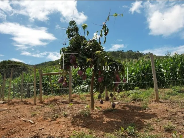 Imagem 2: SITIO RURAL em GUAPÉ - MG, Volta Grande