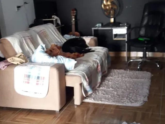Imagem 4: Casa pra Comércio Vendesse e Troca em Sítio