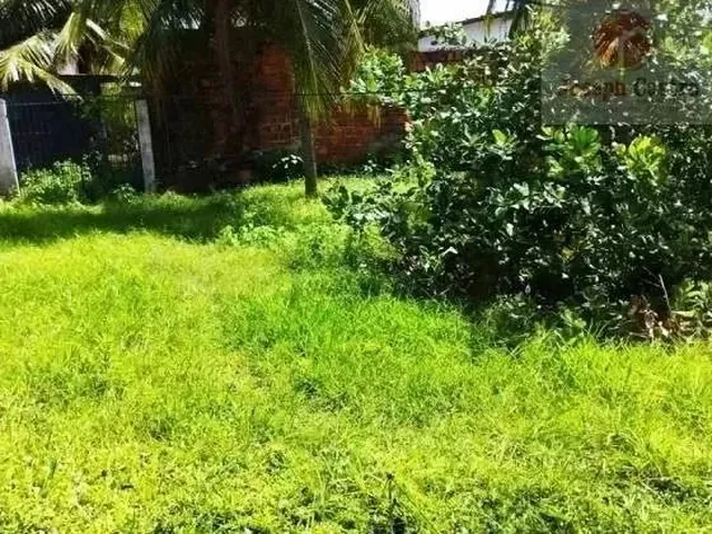 Imagem 13: Vendo Casa com 3 Quartos a 200M da Praia de Acaú