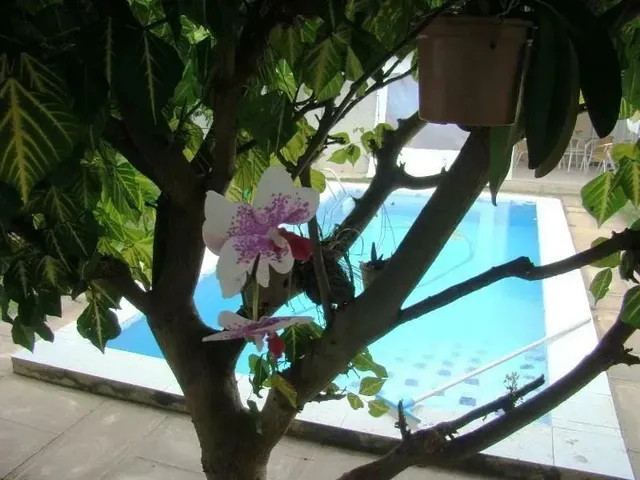 Imagem 16: Casa À Venda - Praia Bela - Conde - Pb
