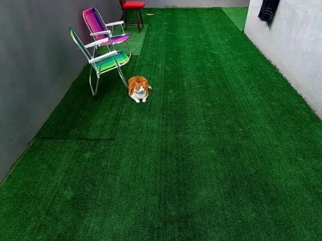 Imagem 8: Apartamento Gardem em Teresópolis Rj