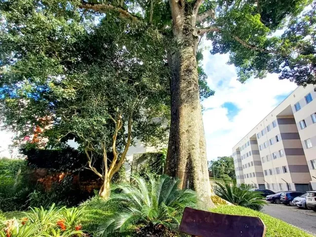 Imagem 15: Apartamento Gardem em Teresópolis Rj