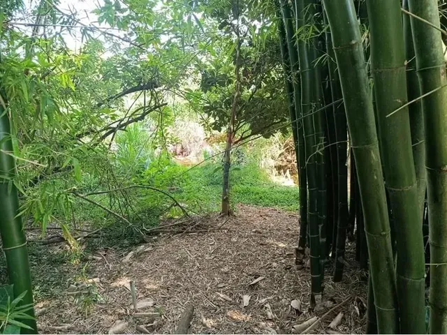Imagem 8: Lugar Aprazível, Tranquilo em Vargem Grande - Teresópolis -Rj