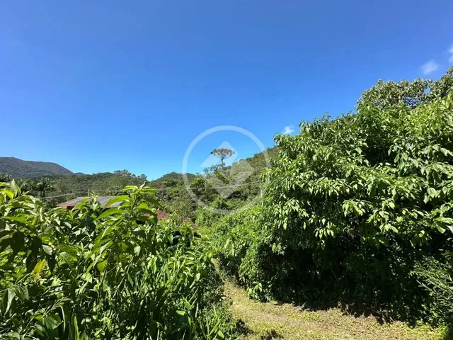 Imagem 14: Mini Sítio com Casa Faltando Somente Acabamento, 2300M², Prata dos Aredes