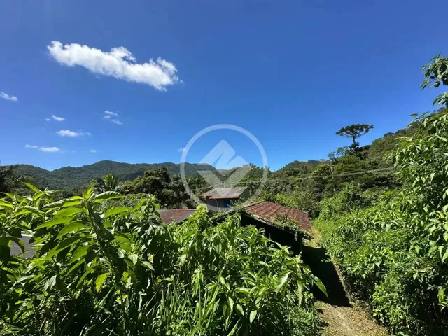 Imagem 16: Mini Sítio com Casa Faltando Somente Acabamento, 2300M², Prata dos Aredes