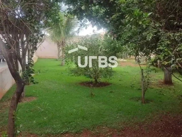 Imagem 12: 0 - Casa 3 Quartos, Sendo 2 Suítes