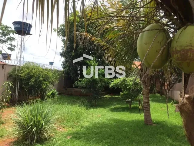 Imagem 13: 0 - Casa 3 Quartos, Sendo 2 Suítes