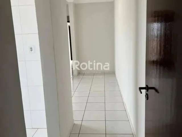 Imagem 11: Apartamento Bairro santa Mônica