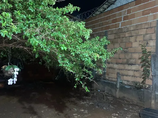 Imagem 6: Vendo Casa Aclimação Lote Único