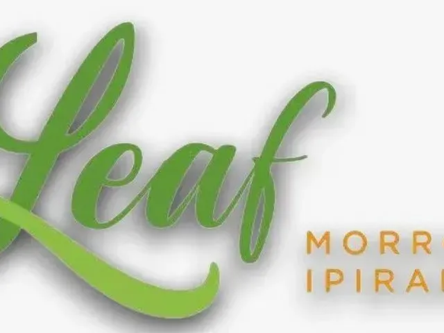 Imagem 3: Leaf Morro Ipiranga, 2 Quartos Distribuído Entre 57 a 69M², Varanda e 1 Vaga De