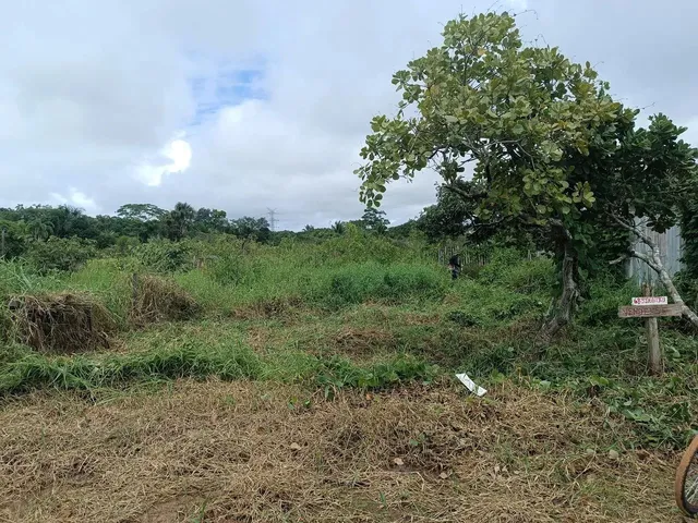 Imagem 2: Vende Se Este Terreno