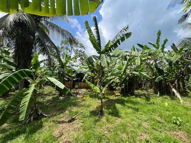 Imagem 2: Chácara Chácara com venda por R$180.000