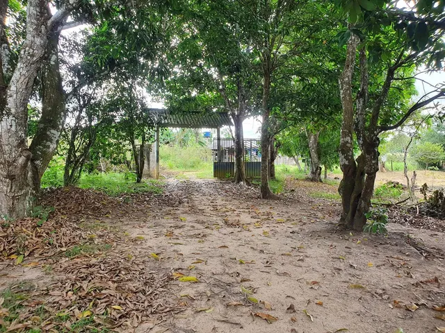 Imagem: Chácara com Terreno 100X100