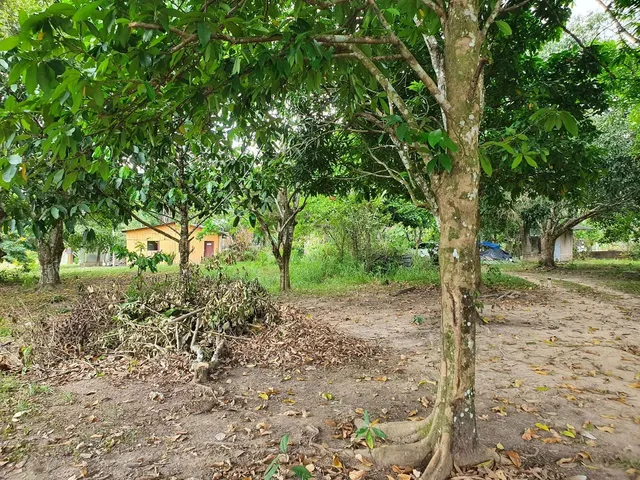 Imagem 3: Chácara com Terreno 100X100