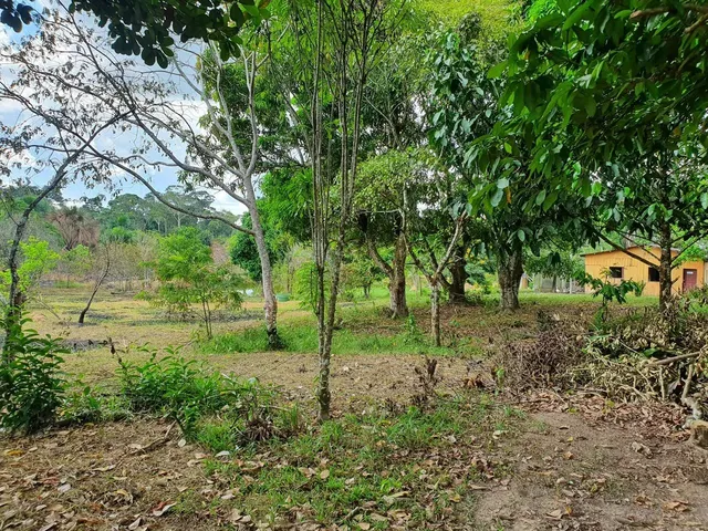 Imagem 4: Chácara com Terreno 100X100