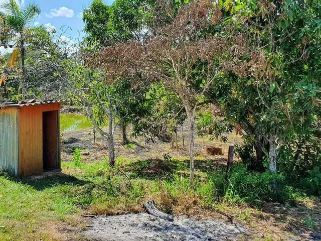 Imagem 13: Chácara com Terreno 100X100